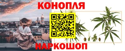 таблы Кингисепп