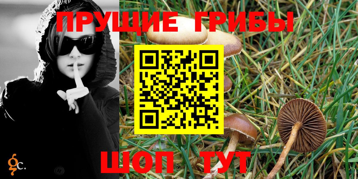 магазин продажи наркотиков  Псилоцибиновые грибы Psilocybe  Ковров  Вход с VPN  Галлюциногенные грибы мухоморы 