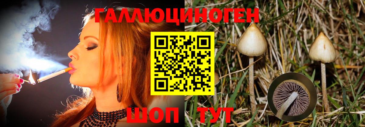 Экстази  A PVP СОЛЬ   NBOMe  Ковров  Вход с VPN  ГАШИШ  Конопля  Мефедрон  